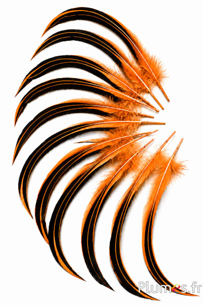 Ente Mandarin - 15-20 cm - orange